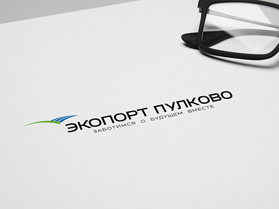 Ecoport Pulkovo airport branding corporate identity design help information logotype