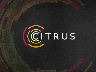 Citrus branding corporate identity it technology logotype