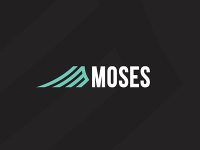MOSES bmx brand branding corporate identity design extreme extreme sport identity logo logotype moses ramp skate