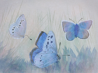 Mission Blue butterfly adobe fresco digital drawing illustration nature nature art nature illustration