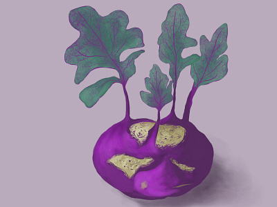 Kohlrabi adobe fresco illustration