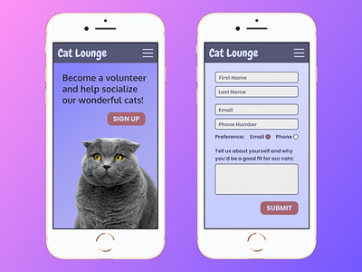 DailyUI #001 - Cat Lounge