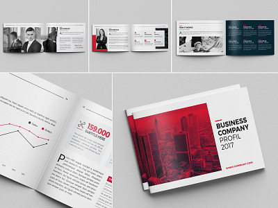 Business Company Profil a5 brand branding business clean company corporate creative design emydesign idml indd. annual report indesign infographics informational landscape light magazine minimalist modern