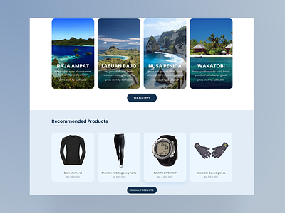 homepage aquanots diving trip planner ui web design