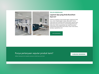 Homepage Dehyginique cto design green homepage solution web design