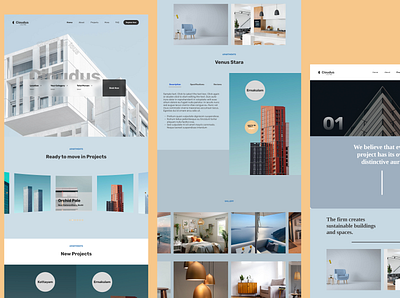 Cioudus - Residential Project Flats Apartments Homepage branding design graphic design illustration merch typography ui ux vector
