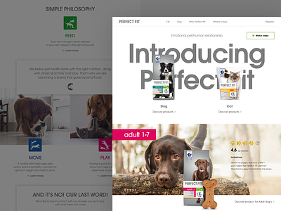 Perfect Fit homepage cat desktop dog product page ui ux