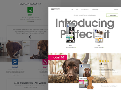 Perfect Fit homepage