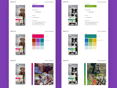 Style guide for Perfect Fit colors guide style ui