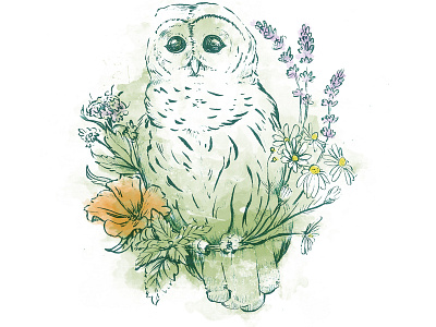 Owl with Flowers art hand drawn hand drawn illustration illustration painted