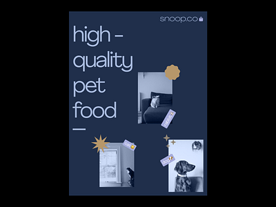 Snoop.co • Food pet • Brand strategy and elements