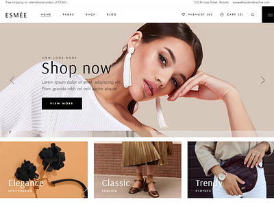 Website design, design online store