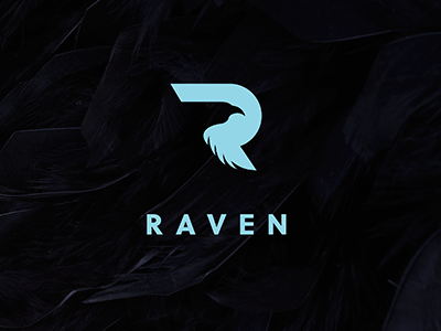 Raven branding concept logo