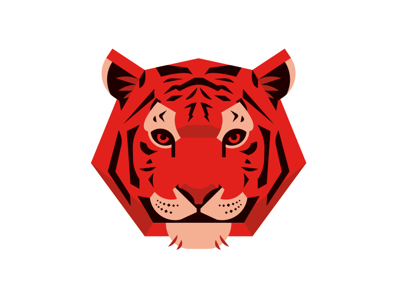 Geometric Tiger by James Kenison on Dribbble