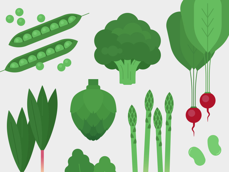 Springtime Vegetables vector peas beans ramps artichoke asparagus broccoli radish