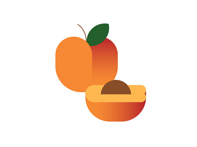 Apricot food fruit vector