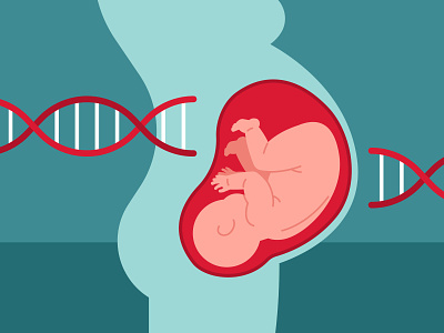 Prenatal DNA Testing dna double helix health infant pregnancy pregnant university of utah utah