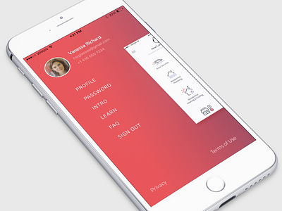Raly Navigation animation icons iphone navigation profile red ui