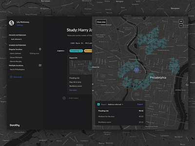 dorothy dark ui flooding map