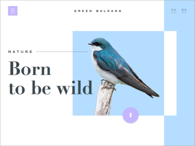 Green balkans- concept animal blue clean design interface landing page minimalistic nature visual design web