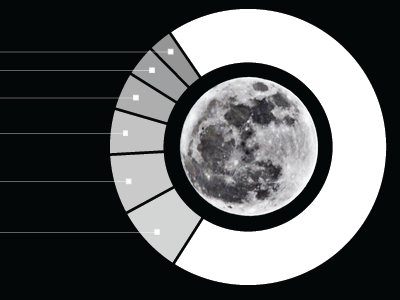 Moon Shot illustrator moon