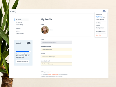 Profile Settings (Balsa)