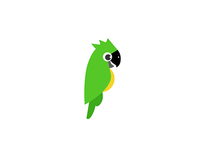 Green Parrot - Mascot for Count.ly animal cartoon character fun green happy illustration mascot onboarding parrot