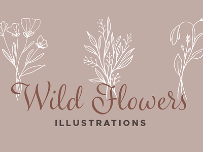 Wildflower Vector Illustrations floral elements handdrawn illustration handdrawn vectors handdrawn wildflowers illustrations vector vector floral illustrations vector florals vectors wildflowers