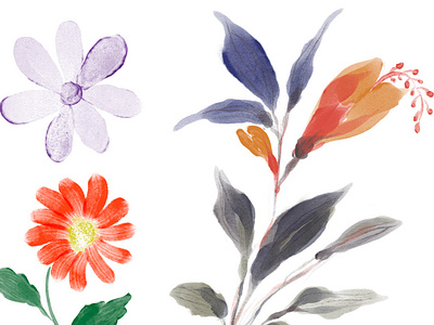 Hand-painted Watercolor Flowers watercolor elements