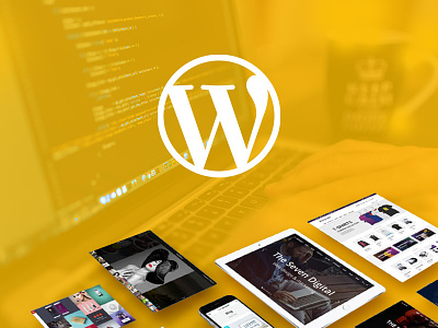 Reasons Why a Customizable WP Theme is Good article design theme website wordpress wp wp theme