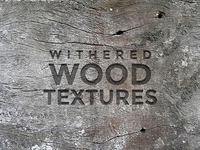 Free Withered Wood Textures backgrounds free freebie freebies grunge old wood textures textures withered wood wood textures