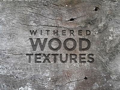 Free Withered Wood Textures