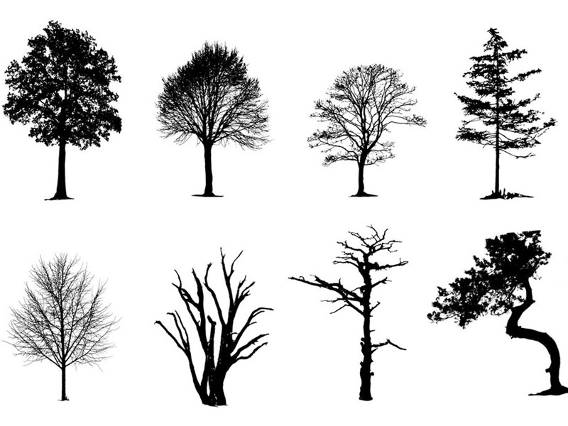 free download illustrator vector trees