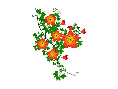 Floral Design, colorful Flowers illustration Vector. line art