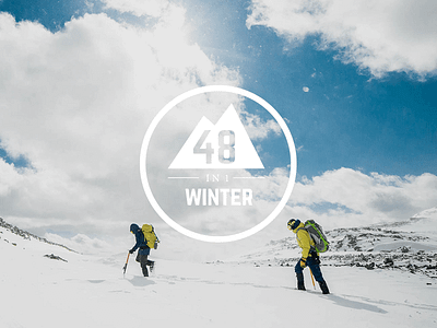 48in1winter Logo