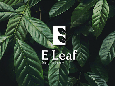 E Leaf Logo Design branding design graphic design industrial design logo logo design minimal vector