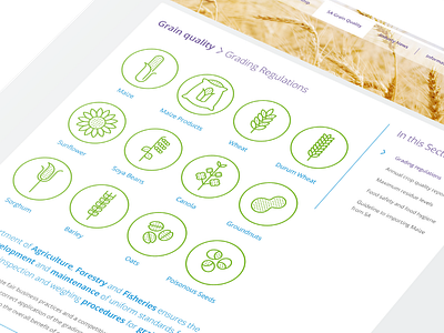 Agbiz Grain Website - SA Grain Quality Icons