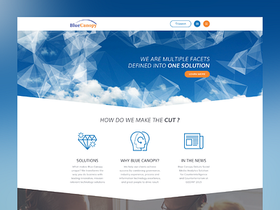 BlueCanopy Website blue business cloud corporate cyber security data government icons line linear linear icons orange security ui uiux website