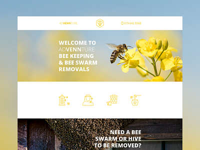 Advennture Website bee bee hive bee keeping bee removal bees hive honey icons line linear linear icons microsite swarm ui uiux vector website yellow