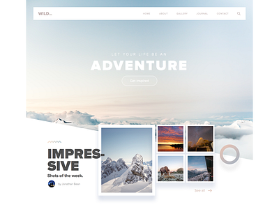 Wild_ Website freebie interface modern photography sketch travel ui website