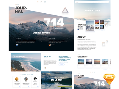 Wild_ Website • FREE Template for Sketch