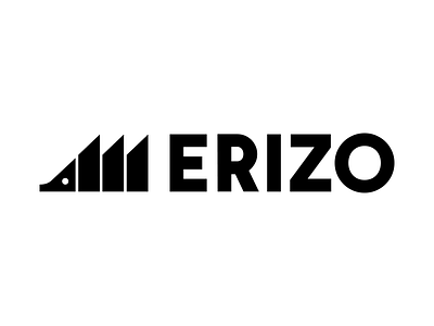 ERIZO branding concept erizo hedgehog logo