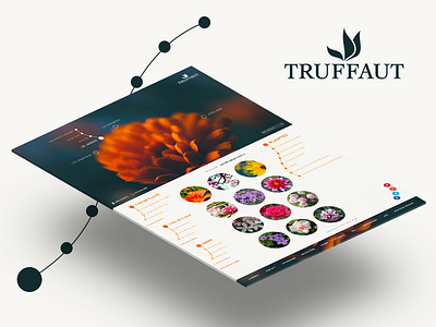 Truffaut's website redesign 2/2 flower herbarium nature organic rebranding redesign site truffaut ui ux web website
