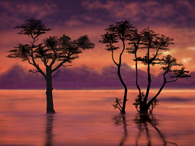 Clouds, trees and lakes