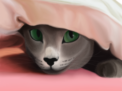 Cat bluecat cat design graphic design illustration procreate russianbluecat vector рисунки