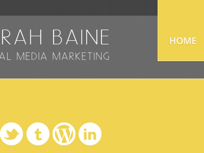 Sarah Baine Social Media Marketing social media marketing