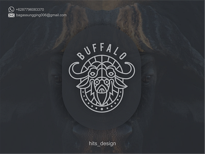 BUFFALO branding design icon illustration logo typography