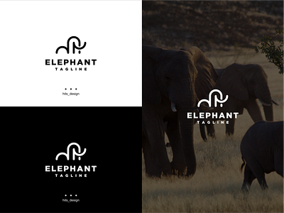 ELEPHANT branding design graphic design icon illustration logo typography