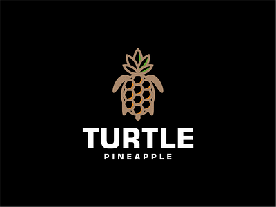 PINEAPPLE AND TURTLE LOGO branding design graphic design icon illustration logo typography