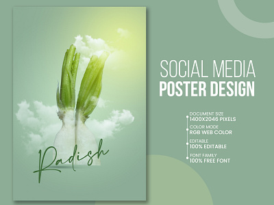 Radish Social Media Ads Design ads design banner branding design google graphic design illustration pro social media banner design ideas social media banner designer